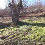 O Palheirinho - - Braganca Hétvégi ház