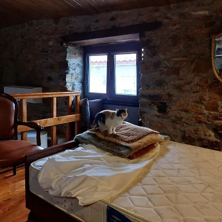 O Palheirinho - - Braganca