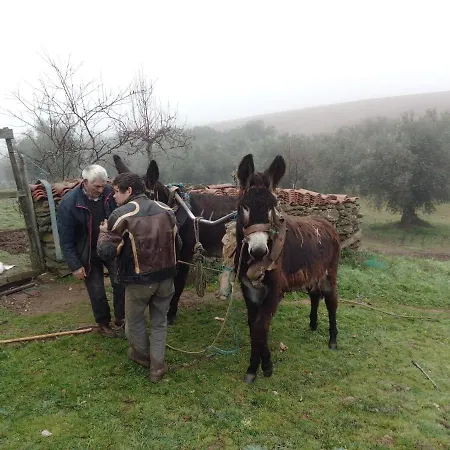 O Palheirinho - - Bragança Séjour à la campagne *