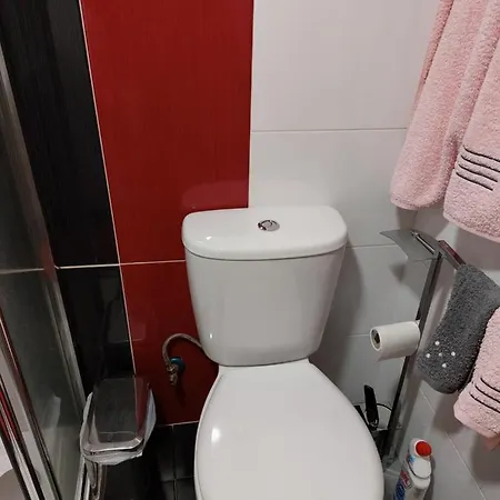 O Palheirinho - - Braganca *