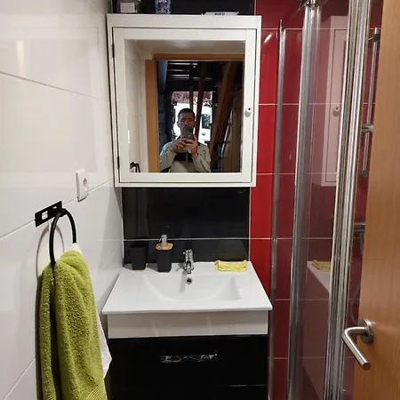 Landhuis O Palheirinho - - Braganca