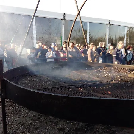 O Palheirinho - - Braganca Landhuis
