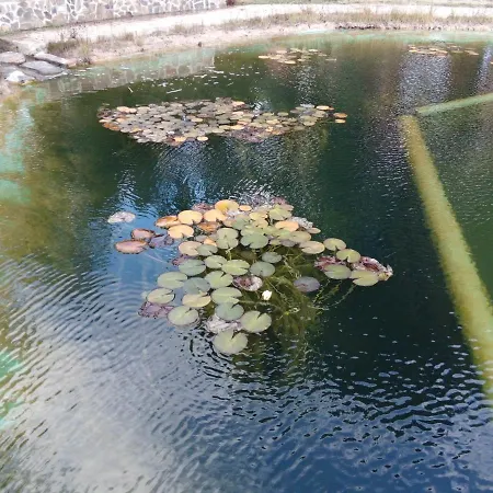 O Palheirinho - - Braganca Casa di campagna