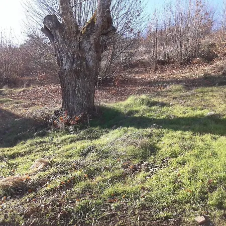 O Palheirinho - - Braganca Casa di campagna