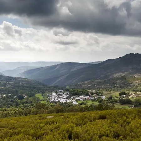 O Palheirinho - - Bragança