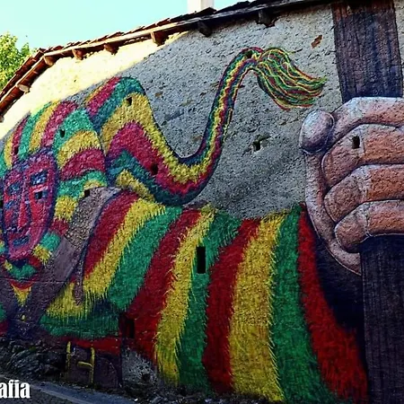 O Palheirinho - - Bragança *