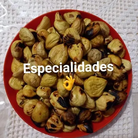 Landhuis O Palheirinho - - Braganca Samil