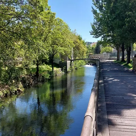 O Palheirinho - - Braganca *