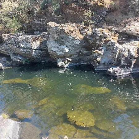 O Palheirinho - - Braganca *