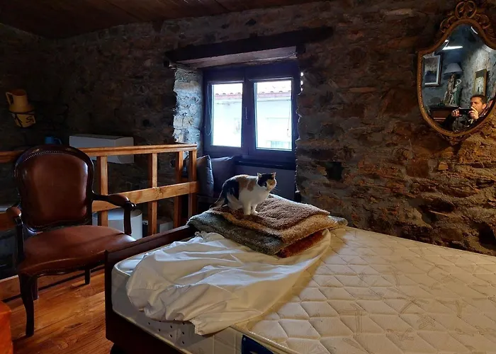 O Palheirinho - - Bragança