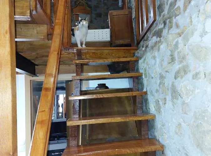 O Palheirinho - - Braganca Hétvégi ház