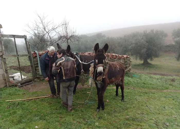 O Palheirinho - - Braganca בית כפרי *