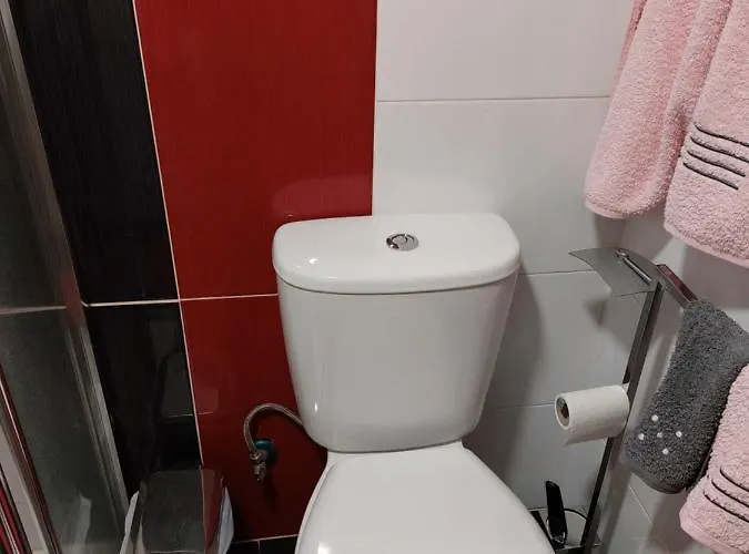 O Palheirinho - - Braganca *