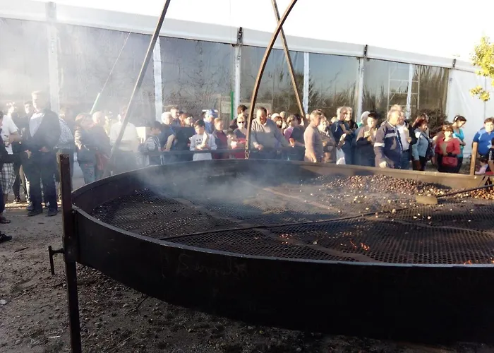 O Palheirinho - - Bragança Casa de Campo