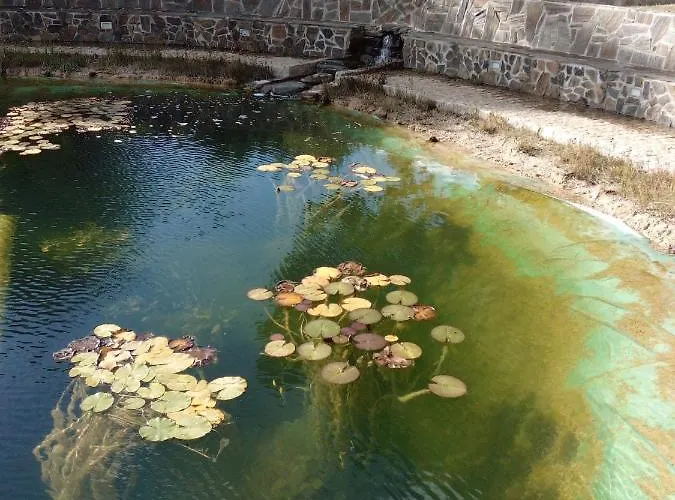 O Palheirinho - - Bragança Casa de Campo *