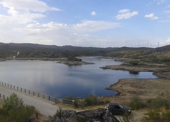 O Palheirinho - - Braganca *