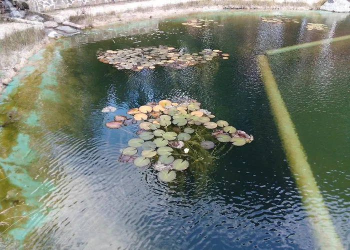 O Palheirinho - - Bragança Casa de Campo