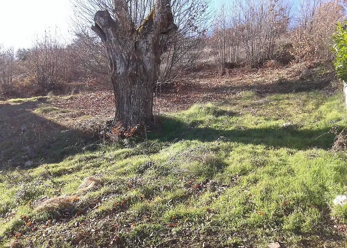 O Palheirinho - - Braganca Hétvégi ház