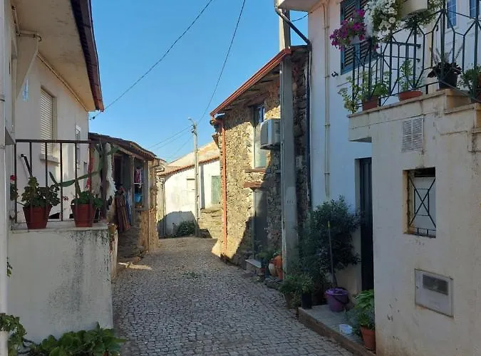 Casa de Campo O Palheirinho - - Bragança *