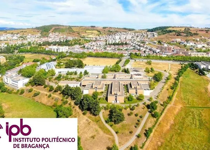 O Palheirinho - - Bragança * Samil