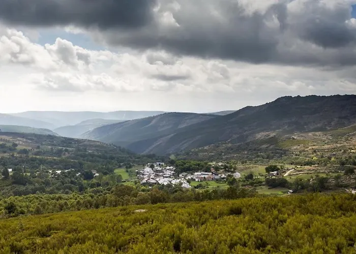 O Palheirinho - - Braganca