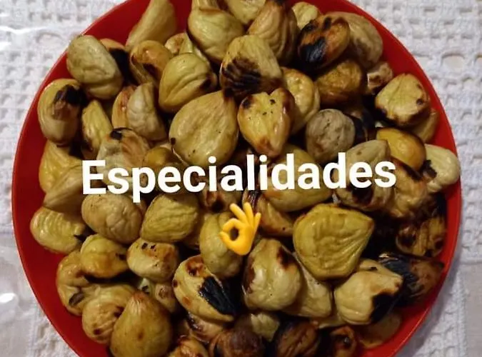 乡村民宿 O Palheirinho - - Braganca Samil