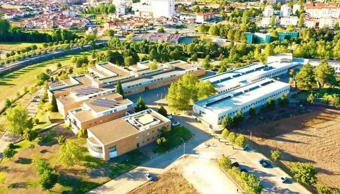 Casa de Campo O Palheirinho - - Bragança *