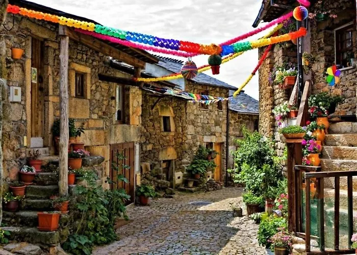 O Palheirinho - - Braganca