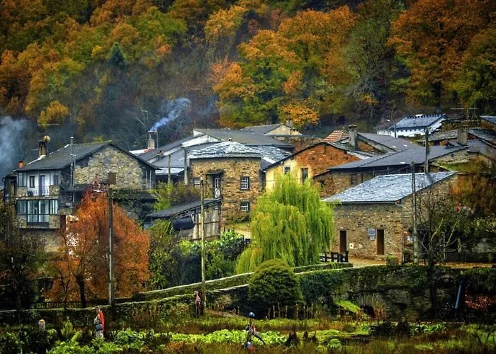 O Palheirinho - - Braganca Samil