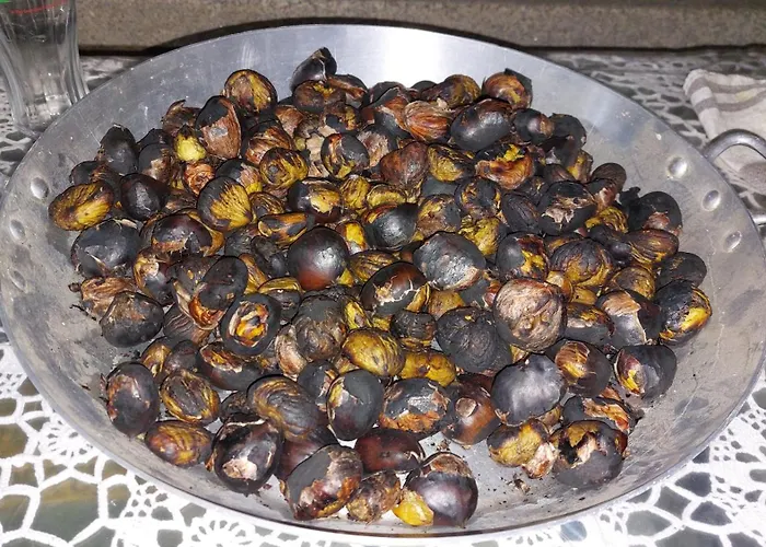 乡村民宿 O Palheirinho - - Braganca