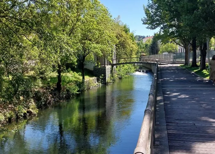 O Palheirinho - - Braganca *