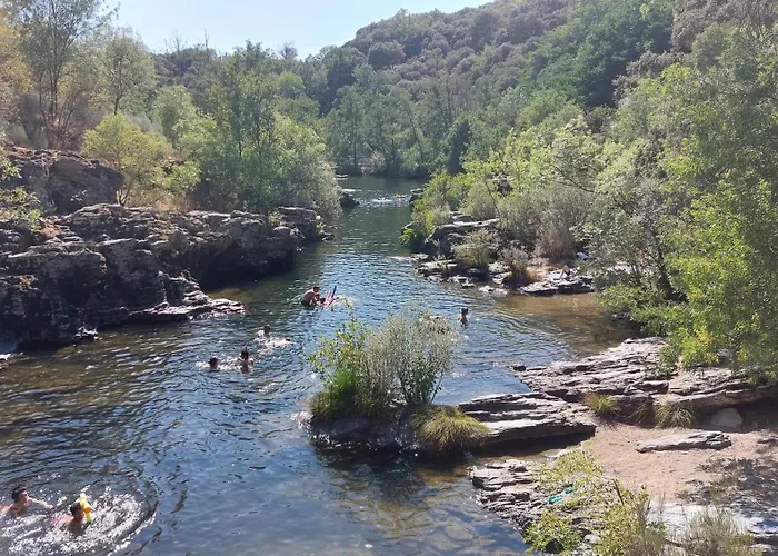 O Palheirinho - - Bragança Samil