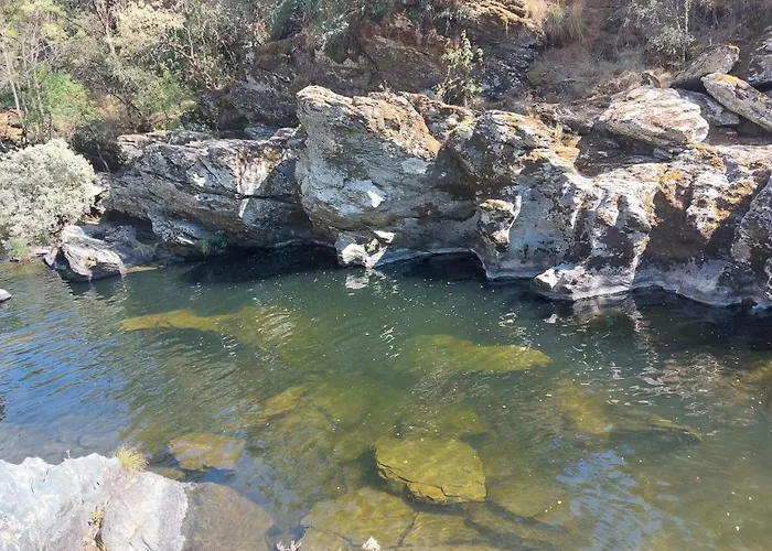 O Palheirinho - - Braganca *