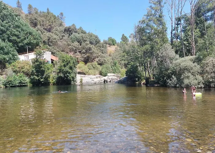 O Palheirinho - - Bragança * Samil