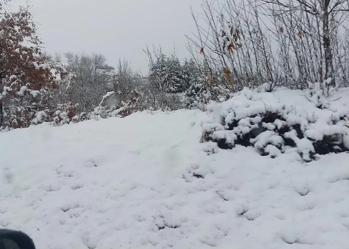 O Palheirinho - - Bragança Casa de Campo